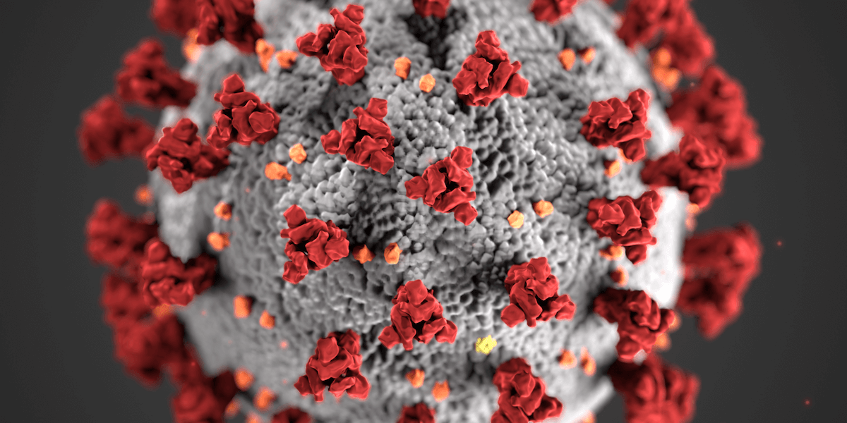 “研究团队竞相开发COVID-19疫苗和治疗方法”专题图片