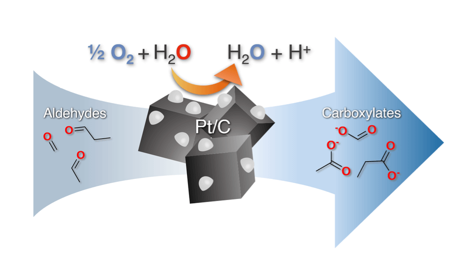 醛转变成羧酸使用铂作为催化剂。图像/丹尼尔麦科里。