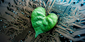 电脑电路板上的心形绿叶